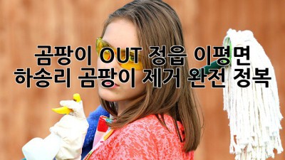 🏠 곰팡이 OUT! 정읍 이평면 하송리 곰팡이 제거 완전 정복 💯